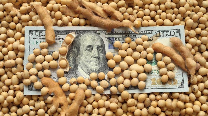 Ranking de agroexportadoras: qué empresas protagonizaron el récord de exportaciones de grano