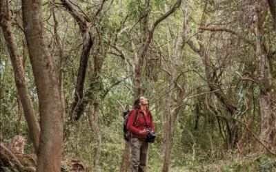 Parece la sabana africana, pero es Argentina: ¿dónde queda el Parque Nacional ideal para recorrer en 4X4?
