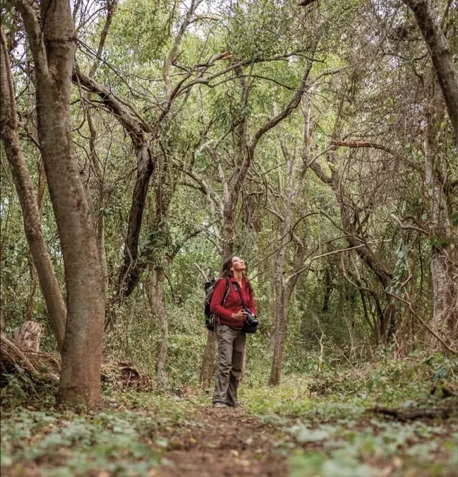 Parece la sabana africana, pero es Argentina: ¿dónde queda el Parque Nacional ideal para recorrer en 4X4?
