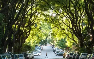 El secreto mejor guardado de Belgrano R, un túnel verde rodeado de mansiones y cafés de especialidad