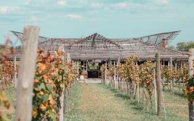 Escapada del vino: la impensada bodega que está a una hora de CABA y queda cerca de dos estaciones de trenes