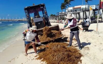El sargazo arruina vacaciones: destinos para escaparle a las algas