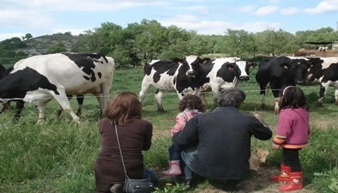La mejor vacuna se da en las granjas