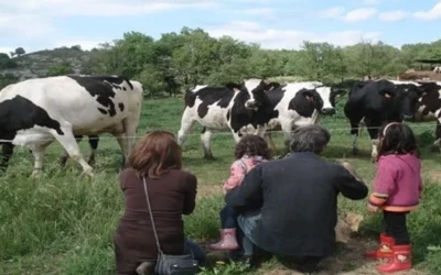 La mejor vacuna se da en las granjas