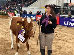 Expo Rural 25: Volver a poner los rodeos en pie, el gran desafío para la cadena cárnica