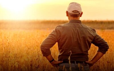 Cae un 19% la confianza del campo sobre el futuro del sector y vuelve a encenderse la luz de alerta en las inversiones