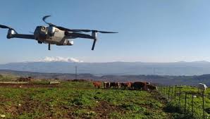 Se inició la ganadería del futuro con los premios Cita 2025