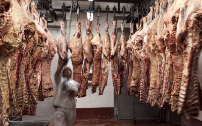 Baja de retenciones: en la carne, creen que es más favorable como señal política que como mejora del negocio