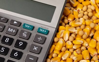 En un mercado retraído y atípico, el agro espera el discurso de Milei en La Rural