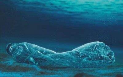 Revelan un gran engaño de la historia humana: La mentira que ha costado billones de vidas