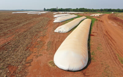 De la siembra a la poscosecha: opciones de seguros para cada etapa de la producción