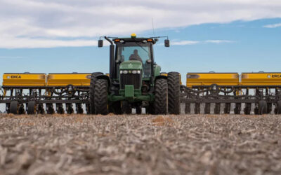 La apuesta por el maíz se eleva en más de 15% para la región núcleo