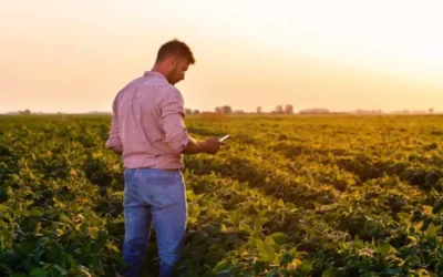 Advierten que los márgenes netos de la soja en Argentina están prácticamente en cero
