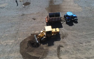 Aprovechamiento de estiércol bovino para cultivos agrícolas