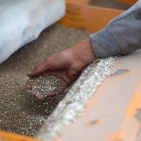 Crece el consumo de fertilizantes de la mano de más de 6,6 millones de hectáreas de trigo sembradas