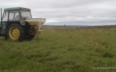 ¿Fertilizar el campo natural con fósforo?