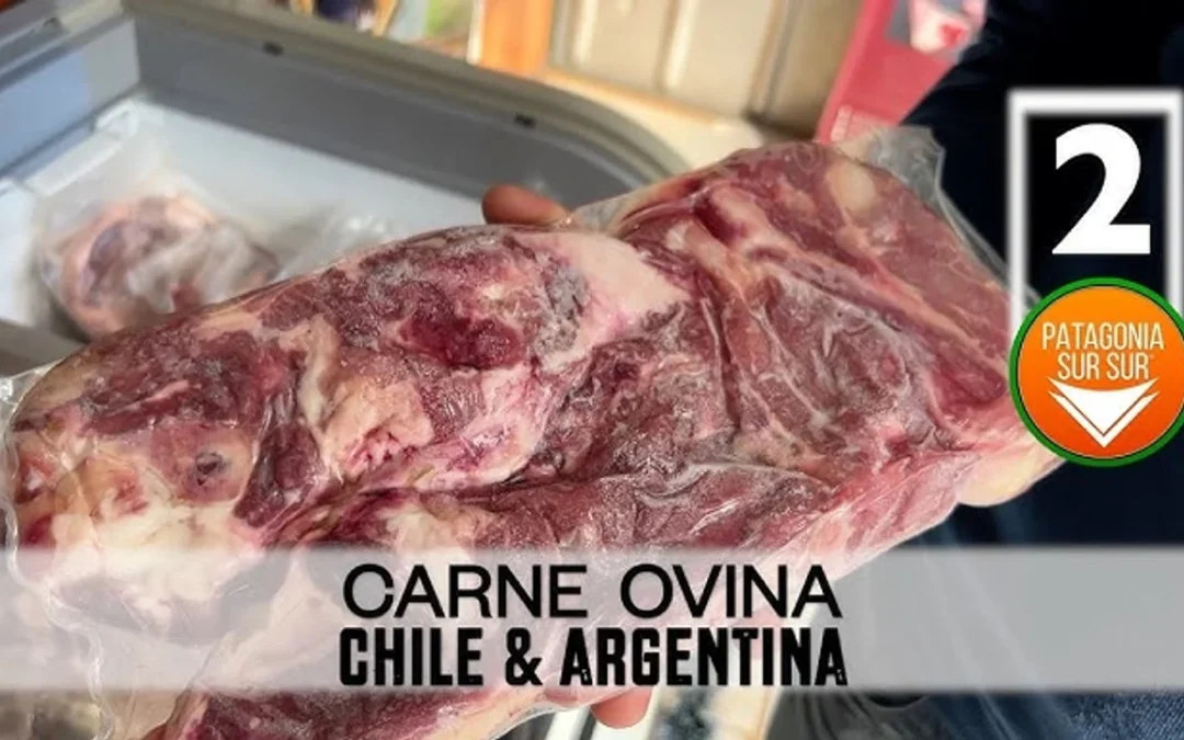 Dura respuesta de Chile a una medida del Gobierno: prohíben la carne argentina por temor a la aftosa