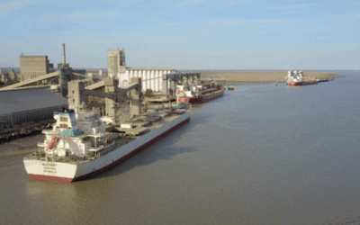 Los exportadores no registraron una sola tonelada de trigo 2025/26 y las razones de ese hecho inédito deberían preocupar a los productores