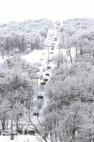 Cerro Castor extiende su temporada hasta el 5 de octubre tras una nieve récord y una temporada excepcional