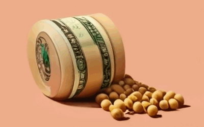 La soja supera los US$ 400 y da una señal favorable al dólar que igual bajó