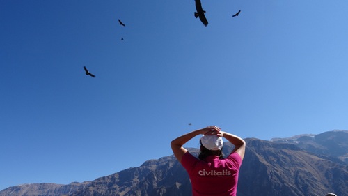 Córdoba selló alianza con Civitatis para llevar su oferta turística a más de 40 millones de viajeros de todo el mundo