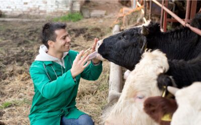 Día de los Veterinarios: aliados clave para la salud animal, humana y ambiental