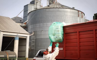 Récord a favor del ambiente: el agro recuperó 20 millones de kilos de envases vacíos de fitosanitarios