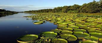 Esteros del Iberá combina desarrollo turístico con cuidado ambiental