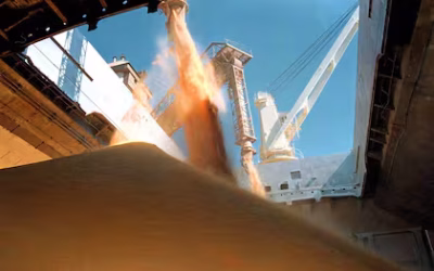 Los dólares del campo: calculan que hasta fin de año llegarán US$10.154 millones por exportaciones agrícolas