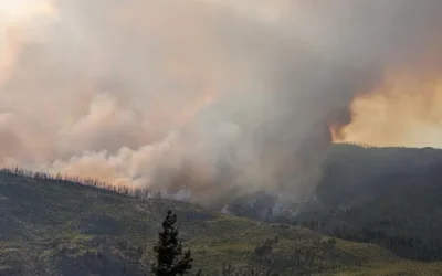 Los daños causados por incendios forestales en la UE se cuadruplicaron este año