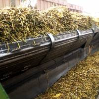 Las exportaciones agroindustriales crecieron 4,5% en volumen durante el primer semestre de 2025