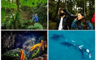 La gran travesía natural: Panamá, corazón migratorio