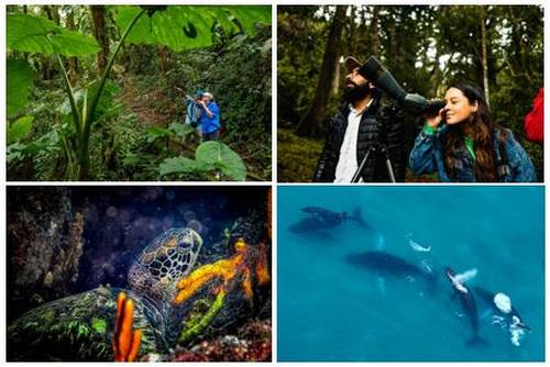 La gran travesía natural: Panamá, corazón migratorio