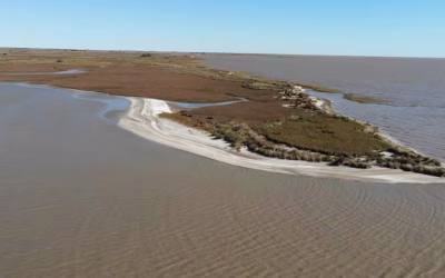 Ni Cariló ni Pinamar: la playa a 3 horas de Buenos Aires con una reserva natural, ideal para una escapada