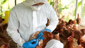 El Senasa informó sobre programas sanitarios