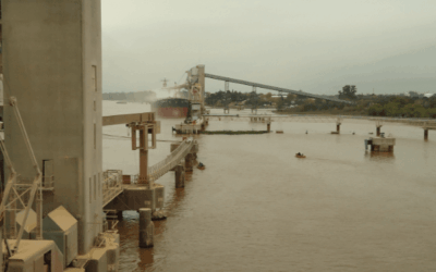 Por la “aspiradora” china los exportadores de poroto de soja tienen una capacidad de pago superior a la de la industria aceitera