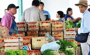 Cuál será el lado de los tomates: ¿que vengan caros de Chile o tirar la cosecha por no valer nada?