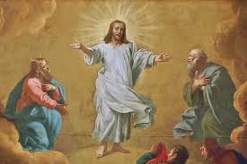 “Este es mi Hijo, el amado, escuchadle”. Día de la Transfiguración del Señor