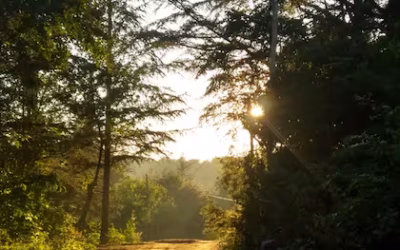 El pueblo escondido en un bosque con un río increíble ideal para unos días de descanso
