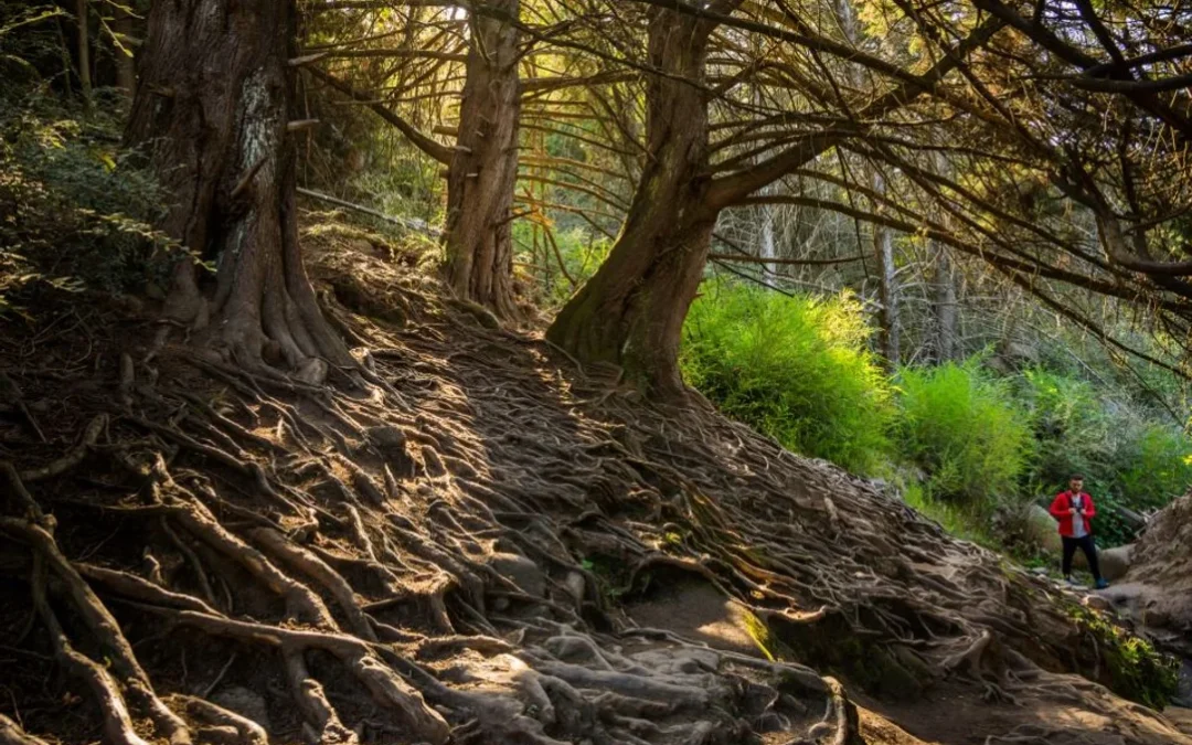 Tres destinos de Córdoba perfectos para disfrutar la primavera con Trekking y naturaleza