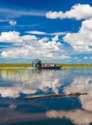 La otra cara de Miami: cocodrilos, pantanos y aventura en los Everglades