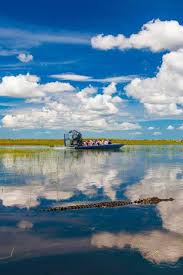 La otra cara de Miami: cocodrilos, pantanos y aventura en los Everglades