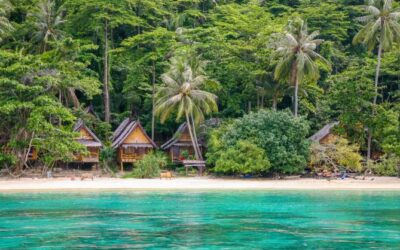 Islas Phi Phi (Tailandia), cómo visitar y qué ver en escenario de “La playa”