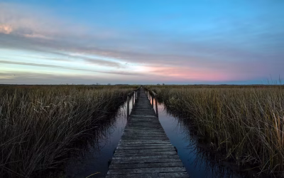 Qué se puede hacer en el Parque Nacional que está a menos de 1 hora de CABA y se llega en tren o en colectivo
