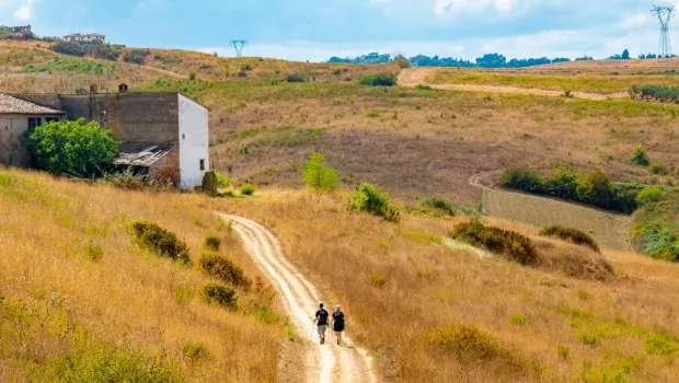 Turismo religioso: Guía rápida de peregrinación para el Año Jubilar que estamos viviendo