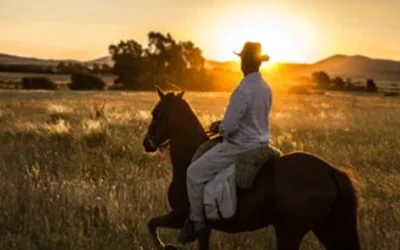 Ni Neuquén ni Chubut: la provincia con paisajes patagónicos que enamora, a horas de la Ciudad