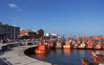 Puerto de Mar del Plata: ceden conflictos sindicales y una terminal anuncia un crecimiento de las operaciones