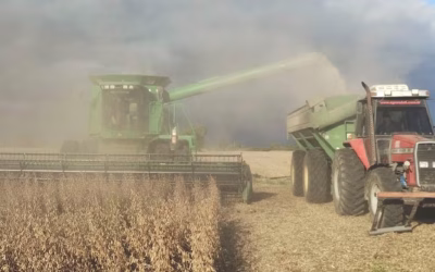 El alto costo argentino de producir granos