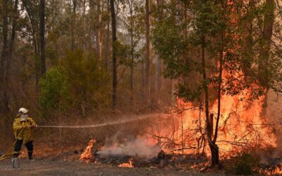 La prevención de incendios forestales es responsabilidad de todos