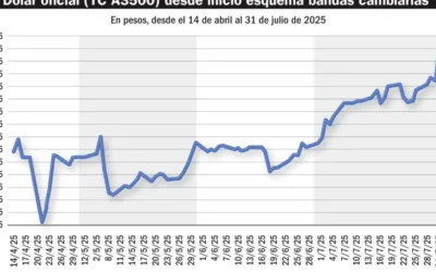 ¿Qué hay detrás de la suba del dólar?